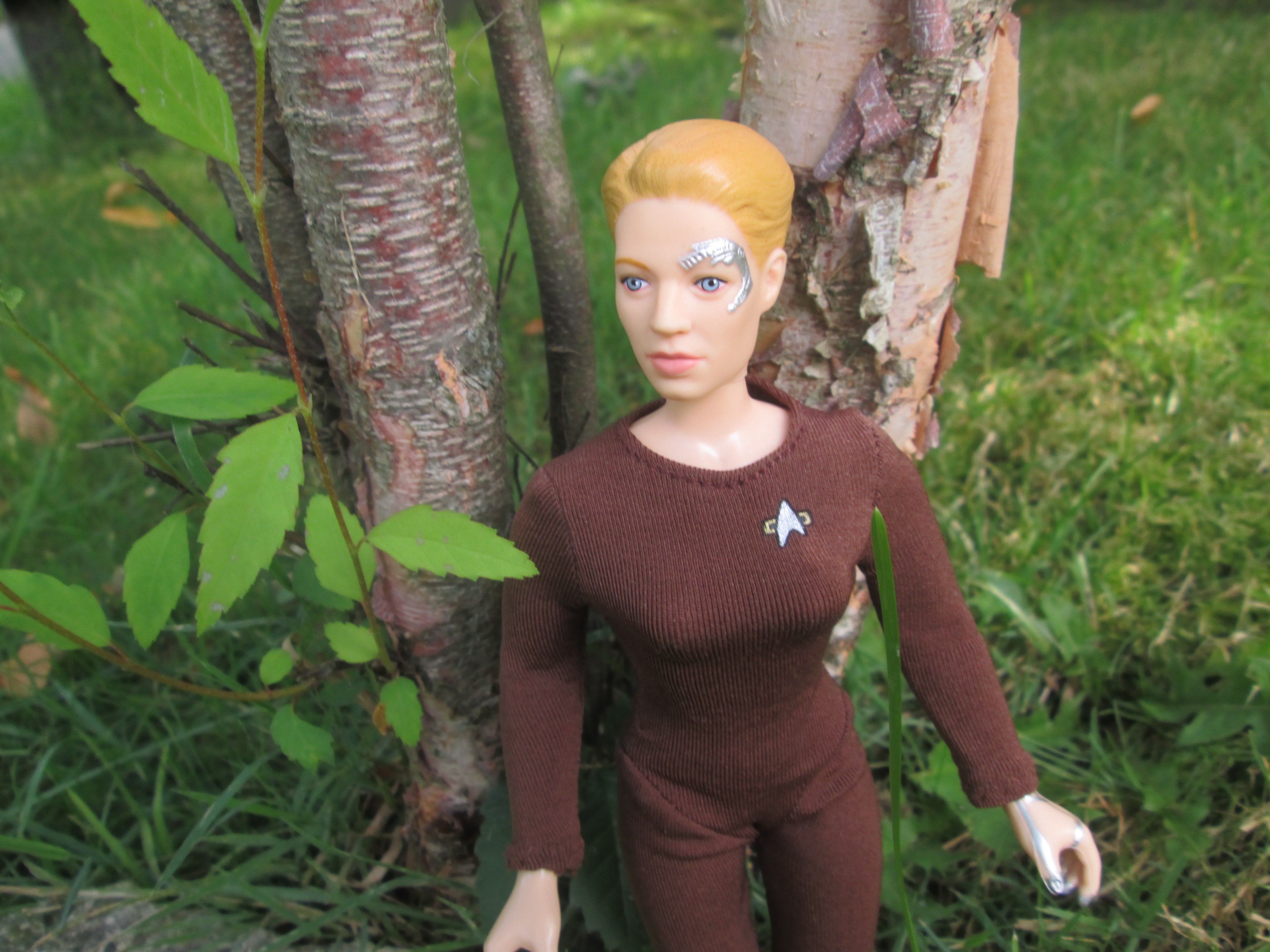 seven of nine